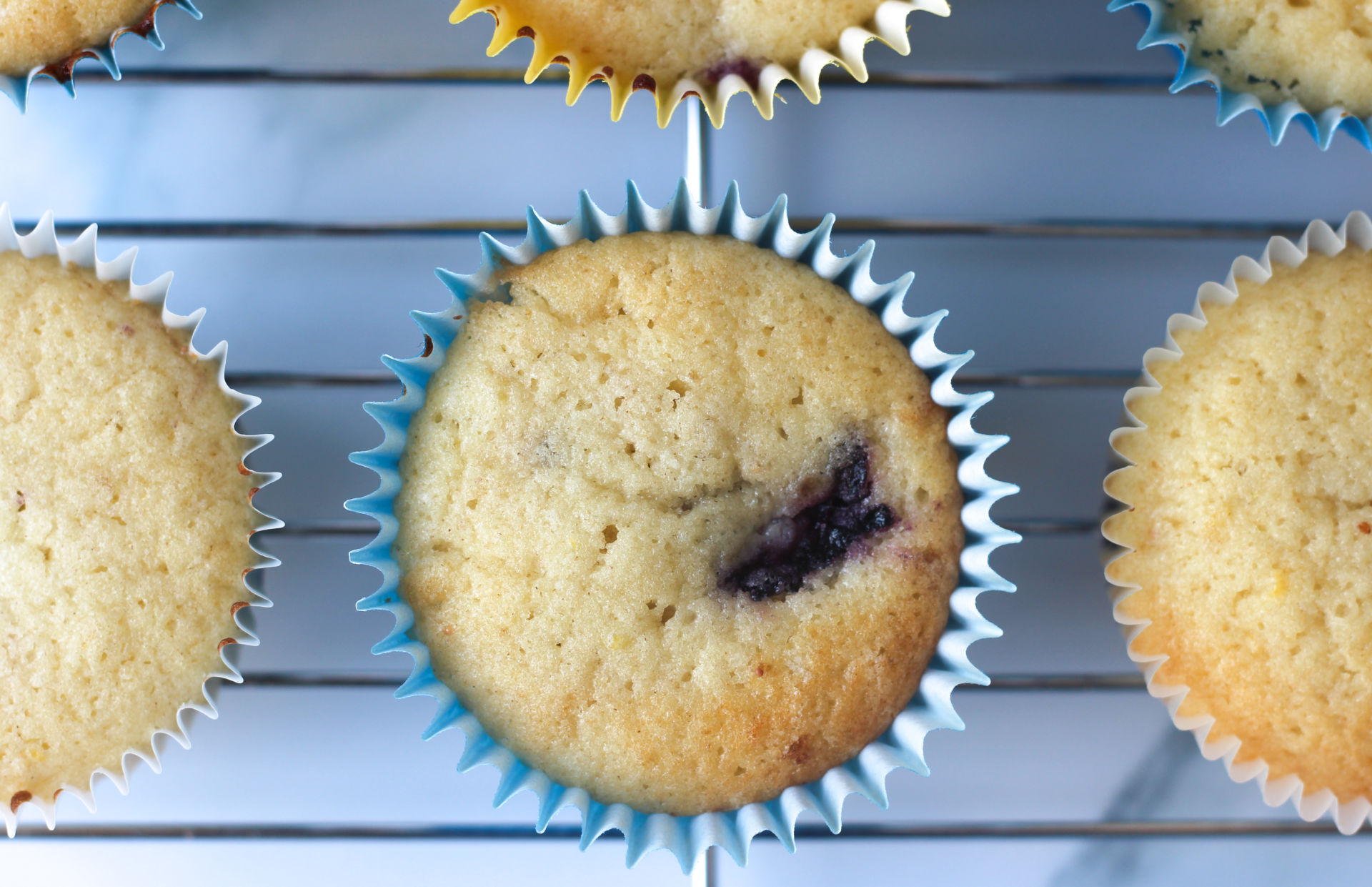 Lemon Blueberry Cupcakes With Whipped Cream Cheese Icing Baker Jo