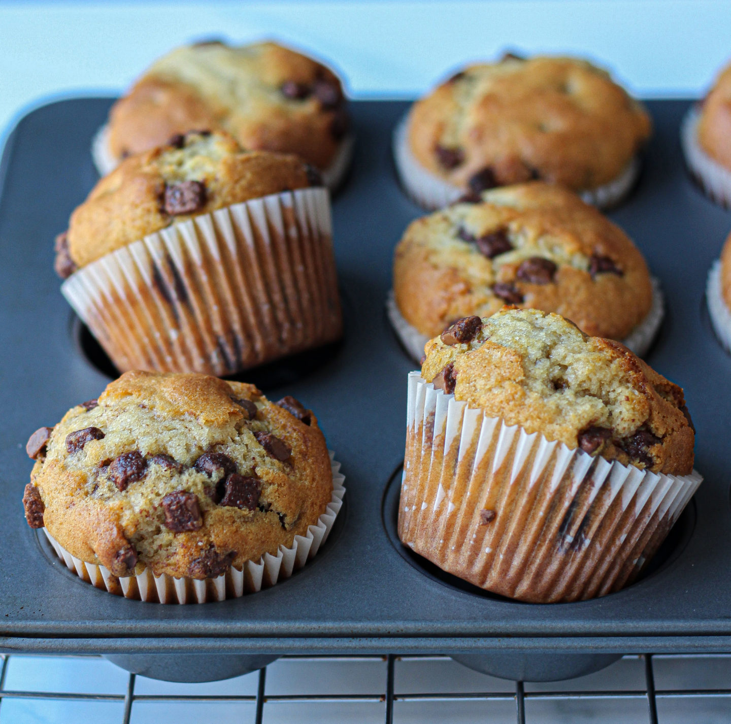 Simple Easy Chocolate Chip Muffin Recipe